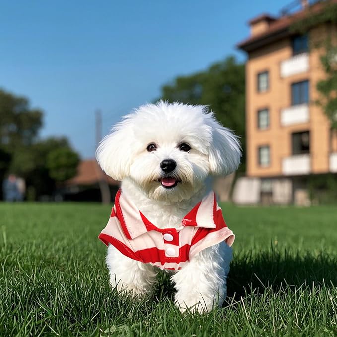 Dog Shirt Polo Shirt Striped Collar Puppy Clothes Summer Button Up Pet Clothes for Small Medium Dogs Cats for Boy Girl Pets (Red, Medium)