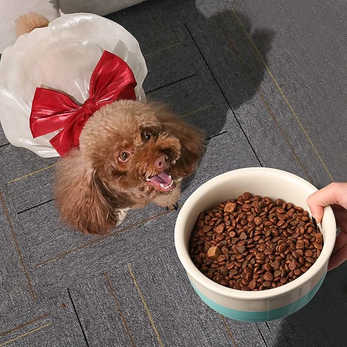 Sweejar Ceramic Dog Bowls, Dog Food Dish for Small Dogs and Cat, Heavy Duty Porcelain Pet Bowl for Canned Food and Water 17 Fl Oz (Gray)