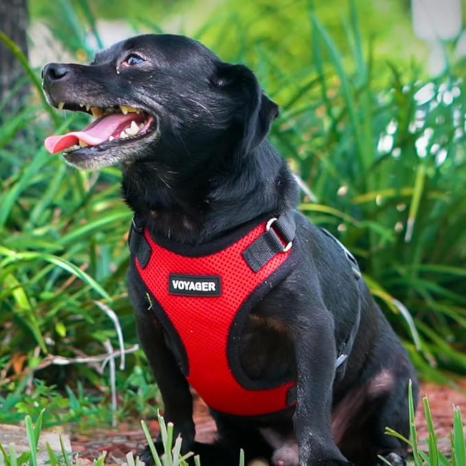 Voyager Step-in Pet Harness - All Weather Mesh, Adjustable Step in Harness for Cats and Dogs by Best Pet Supplies - Red/Black Trim, M