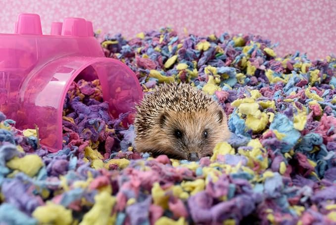 Small Animal Bedding - 10 Liter, Confetti