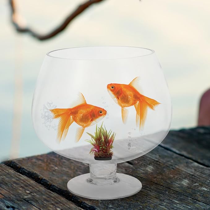 GANAZONO Clear Glass Goldfish Tank 17cm | Multi-function Desktop Aquarium for Betta Fish Decorative Fish Supplies Unique Design Pet Material for Home Decor
