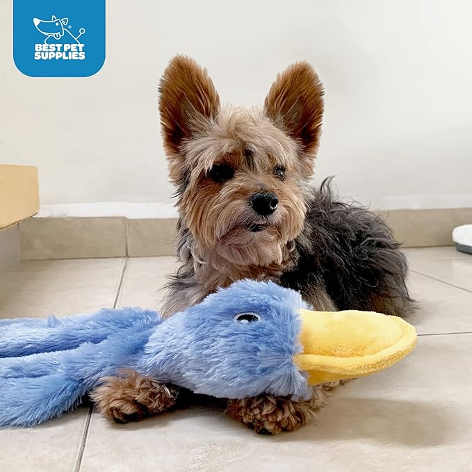 Best Pet Supplies Interactive Squeaky Dog Chew Toy, Ideal Dog Toys for Chewers, Small, Medium & Large Dogs, and Fetch Lovers - Crinkle Duck (Turquoise), Medium