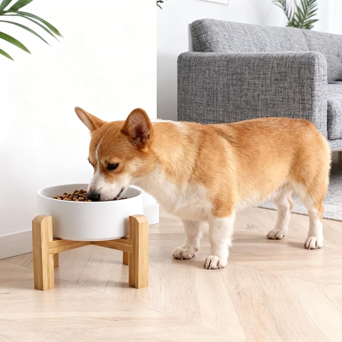 Elevated/Raised Ceramic Dog Bowl with Bamboo Stand,6 Inch 3.6 Cups Non Slip Heavy Weighted Single Pet Dish, for Small Medium Breed & Cats,Reduces Neck Strain White
