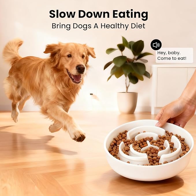 Ceramic Slow Feeder Dog Bowls,2.0 Cups Slow Feeder for Medium Breed,Puzzle Dog Food Bowl to Slow Down Eating, Anti-Gulping, Stop Bloat,Preventing Choking,8in,White