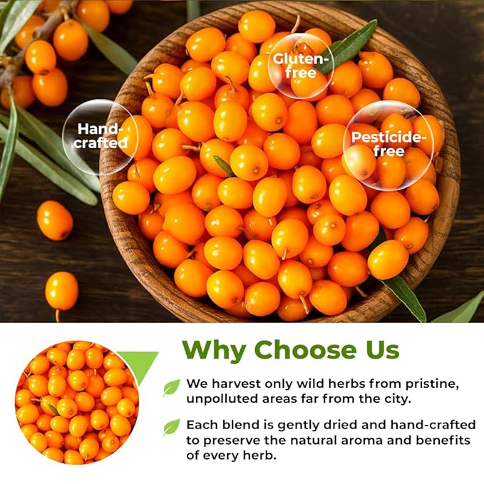4 oz. Sea Buckthorn Berry Herbal Tea (Hippophae rhamnoides) – 113g Dried Sea Buckthorn Berries Té de Espino Amarillo