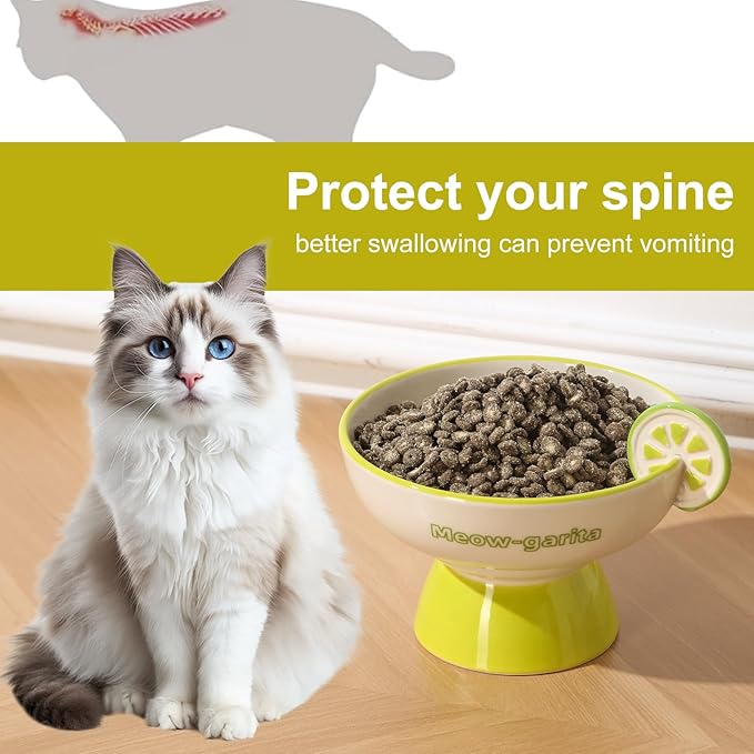 Elevated Cat Bowls Whisker Friendly. Ceramic Raised Whisker Fatigue Cat Bowl for Indoor Cats Protect The Spine and Prevent Vomiting. KGCCIZI