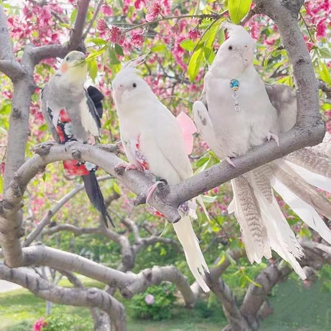 Bird Diaper Parrot Washable Diapers, Parrot Flight Suit, Reusable Nappies for Parakeet Cockatiel Mini Macaw Budgie Conure Lovebird (Beige,2XL)