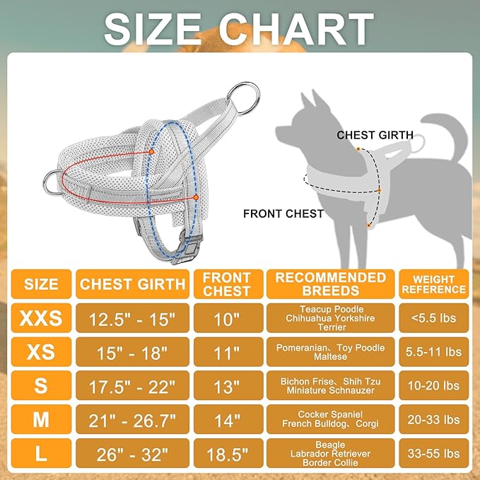 BEAUTYZOO Dog Harness for Small Dogs, No Pull Dog Harness and Leash Set, Soft Escape Proof Puppy Vest Harness with Handle, Reflective Lightweight Step in Harness for Girl Boy Dogs, Grey S