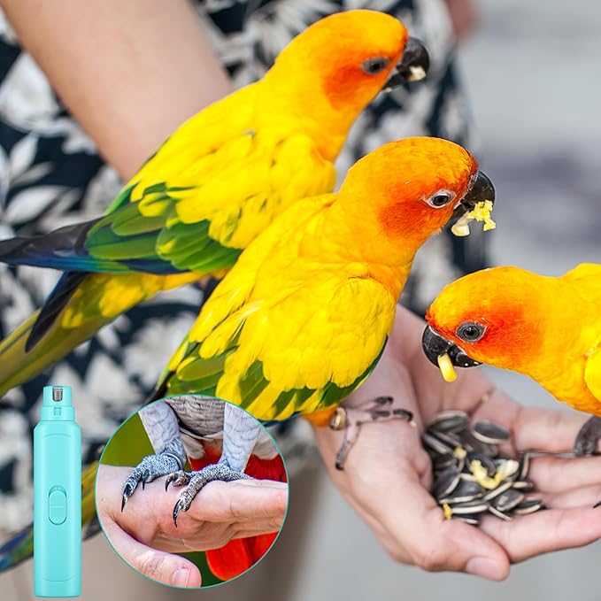 Lasnten 2 Pcs Bird Nail Grinder with Clipper Bird Nail Trimmer File Pet Grooming Tool for Parrot Budgerigars Parakeets Myna Conure Finches Lovebirds (Cyan Blue)