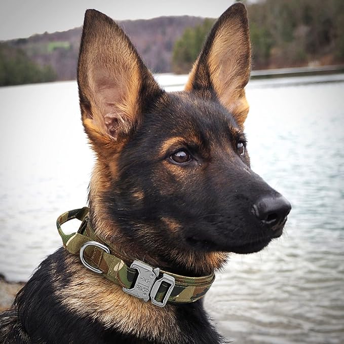 Large Tactical K9 Military Dog Collar - Heavy Duty with Handle, Camo for German Shepherd (Medium, Green Camo)