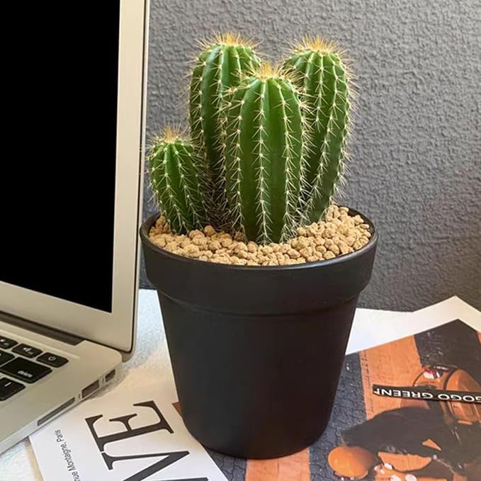 FANTIAN 2 lbs Maifanitum Stone for Plant, 5-8 MM Gravel Rocks for Succulent | Succulent Cactus Soil Potting Mix, Promote Soil Root Growth, Water Drainage and Plant Growth