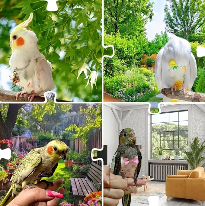 5 Pcs Bird Diapers Bird Harness Flight Suits Diapers Reusable Parrot Nappy with Waterproof Inner Layer Washable Cute Urine Wet Suit for Cockatiel Budgie Conure Macaw Parakeet Lovebird,L