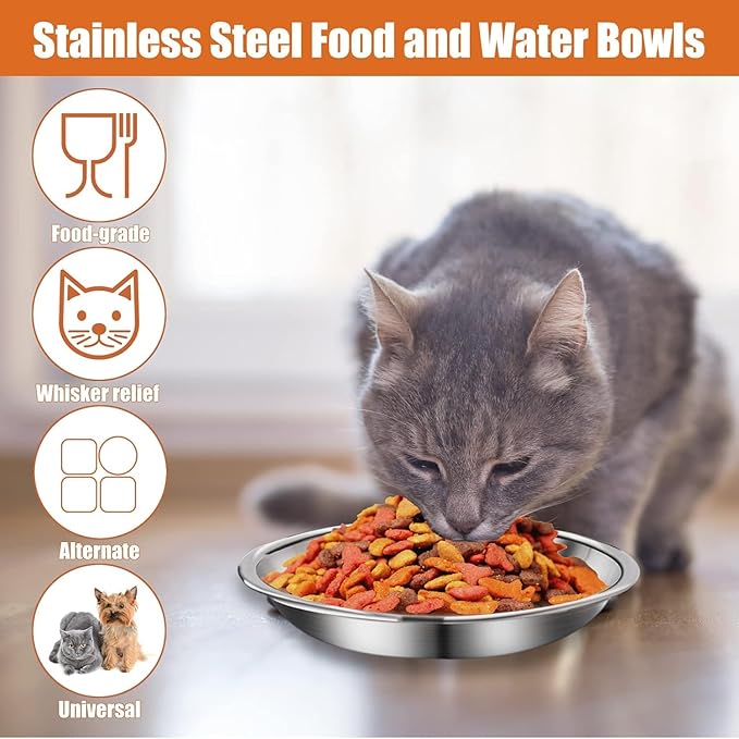 6 Pcs Stainless Steel Cat Bowls Shallow Wide Food Bowls for Cats Replacement Whisker Fatigue Relief for Small Dogs and Cats Indoors (Silver)