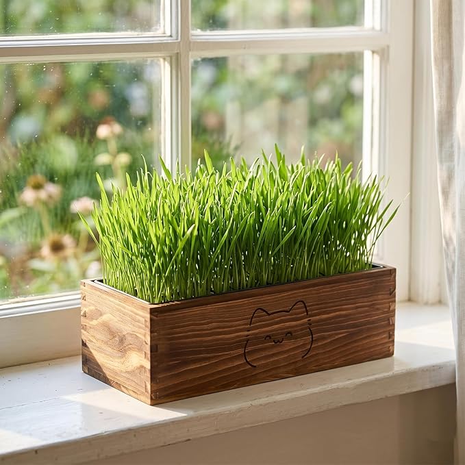 Wooden Cat Grass Planter (no Seeds Included),Cat Grass Kit for Indoor Cats with Anti-Digging Grid, Potting Soil Disks,Watering Bottle and Removable Plastic Liner,Wheat Grass Growing Pot
