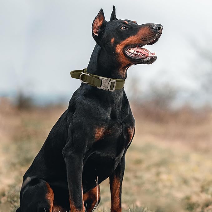 Tactical Dog Collar with Handle - Military Adjustable Dog Training Collar Soft Nylon and Heavy Duty Metal Buckle for Medium Large Dogs - with Patch (Green, Large)