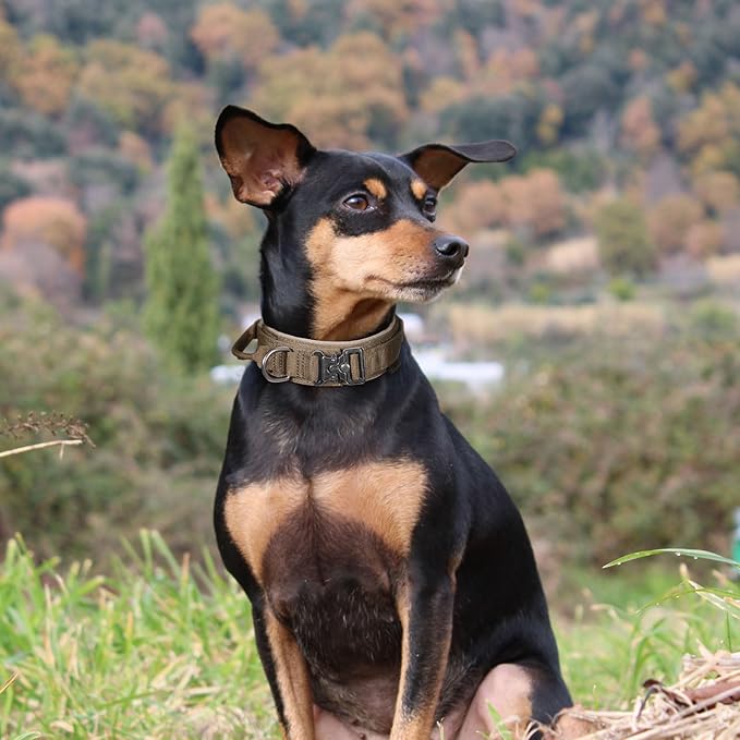 EXCELLENT ELITE SPANKER Tactical Dog Collar Nylon Adjustable Training Collar Military Dog Collar Heavy Duty Metal Buckle with Control Handle for Medium and Large Dogs with Patchese(Black-M)