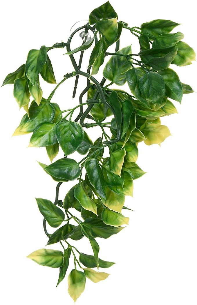 Hagen Exo Terra Plastic Terrarium Plant, Small, Amapallo