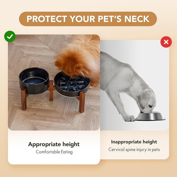 Havniva Elevated Slow Feeder Dog Bowls, 1.2 Cups/7.3 inch Slow Feeders + 6.1 inch Ceramic Dog Food & Water Bowls Set with Acacia Wood Stand Puzzle Bowls for Fast Eater, Small Dogs Anti-Choking