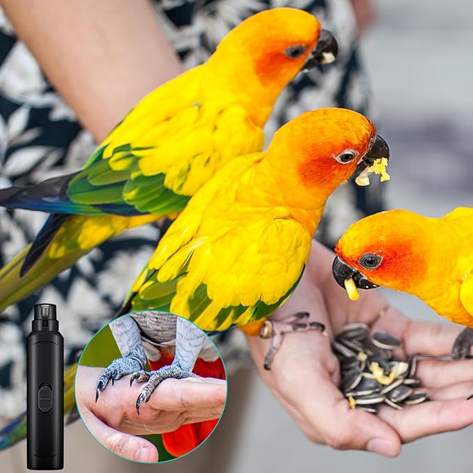 Lasnten 2 Pcs Bird Nail Grinder with Clipper Bird Nail Trimmer File Pet Grooming Tool for Parrot Budgerigars Parakeets Myna Conure Finches Lovebirds(Black)