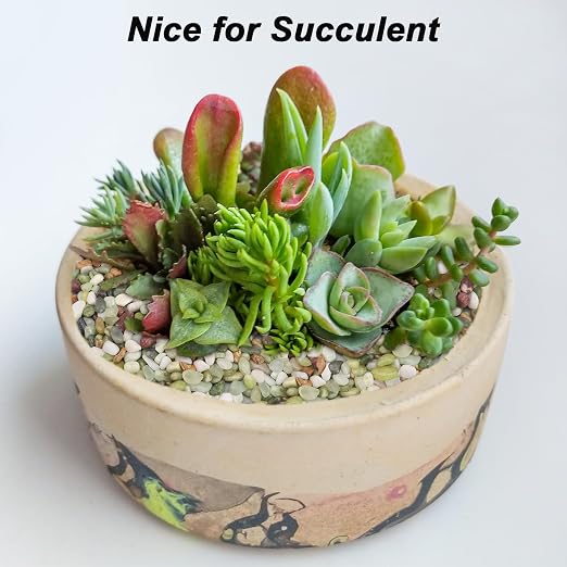 Landscaping Pebbles, Green River Rocks, Ornamental Decor Stones, 10 Pounds | Gravel Filler For Home Decoration, Flower Bed, Fish Tank, Plants, Vases And Succulents Landscaping