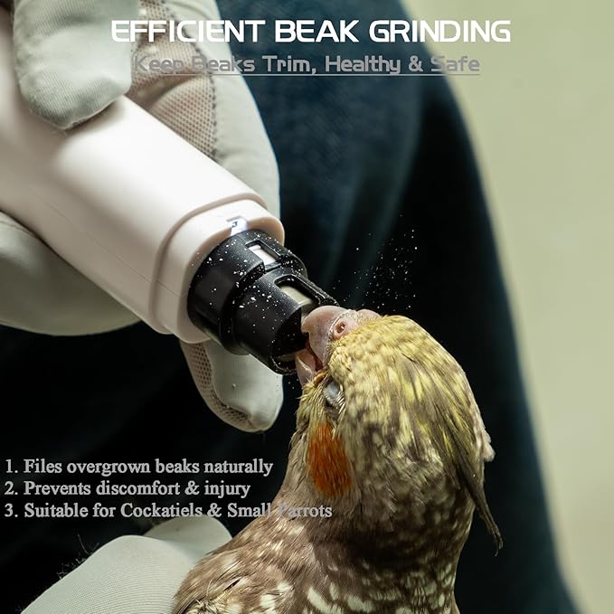 LED Pet Bird Nail Grinder 2 Pcs Set, Electric Beak File Tool for Budgerigars, Parakeets, Conure, Lovebirds
