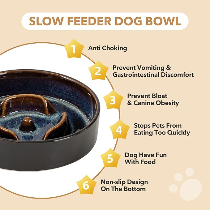Havniva Slow Feeder Dog Bowls, 0.9 Cups Ceramic Dog Food Bowls 6.1 inch Slow Feeder for Small Dogs Puzzle Bowls for Fast Eater, Pet Slow Feeding Dish Anti-Choking