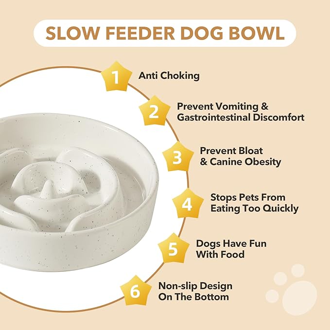 Havniva Slow Feeder Dog Bowls, 1.6 Cups Ceramic Dog Food Bowls 8.2 inch Slow Feeder for Medium Dogs Puzzle Bowls for Fast Eater, Pet Slow Feeding Dish Anti-Choking