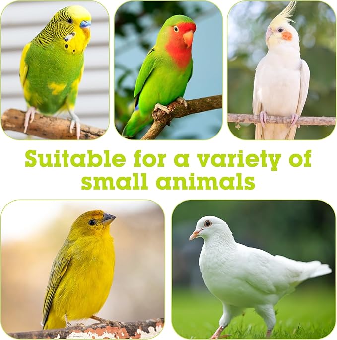 Stainless Steel Bird Bowls for Cage 2 Pcs Parrot Feeding Dish Metal Food and Water Cups Detachable Birds Cage Feeder Hanging Finch Food Plates with Perch for Parakeet Budgie Lovebird (Green)