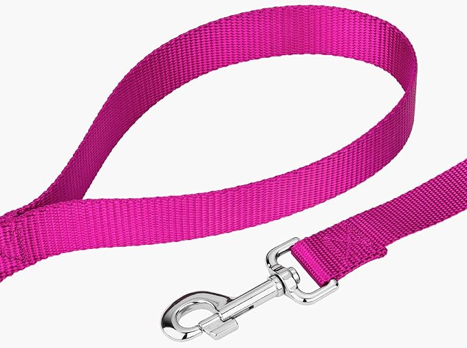 Country Brook Petz - Everyday Nylon Dog Collar and Leash - 10+ Cool Colors (3/4 Inch, Medium, Fuchsia)
