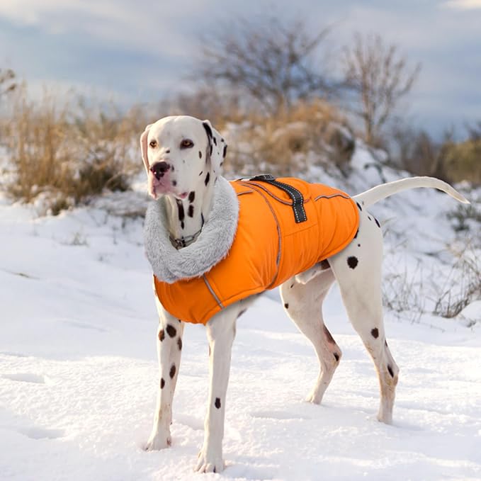 Lelepet Dog Coat Waterproof Dog Jacket Reflective Fleece Vest with Adjustable Buckle & Leash Hole Windproof Cold Weather Coats for Small Medium Large Dogs, Warm Hunting Vest, Orange, L