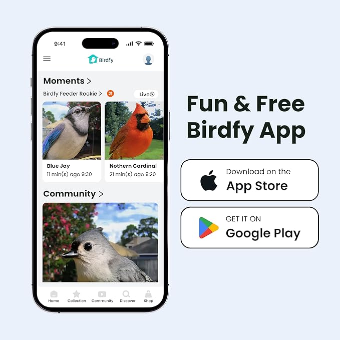 Birdfy Bird Feeder with Camera for Rookie - Solar Powered Outdoor Bird Feeder with Dual Night Vision, AI Recognition, Slow Motion & IP66 Waterproof, Ideal for BirdLovers (Lifetime Free AI)