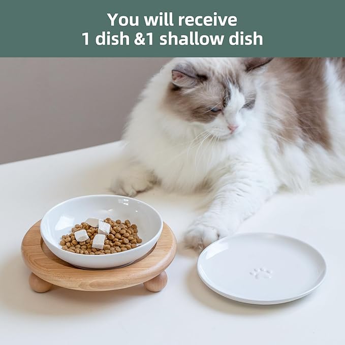 Havniva Elevated Cat Bowls, Ceramic Cat Food Bowl Whisker Friendly Cat Dishes, Kitten Food & Water Bowl with Two Heights Stand, Anti-Slip Raised Cat Food Plates