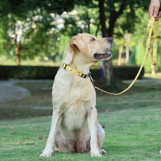 Dog Collar Leash Set, Busy Bee Pattern, 5ft Matching Leash, Polyester Material, 4 for Small Medium Large Dogs.(XS, Bee)