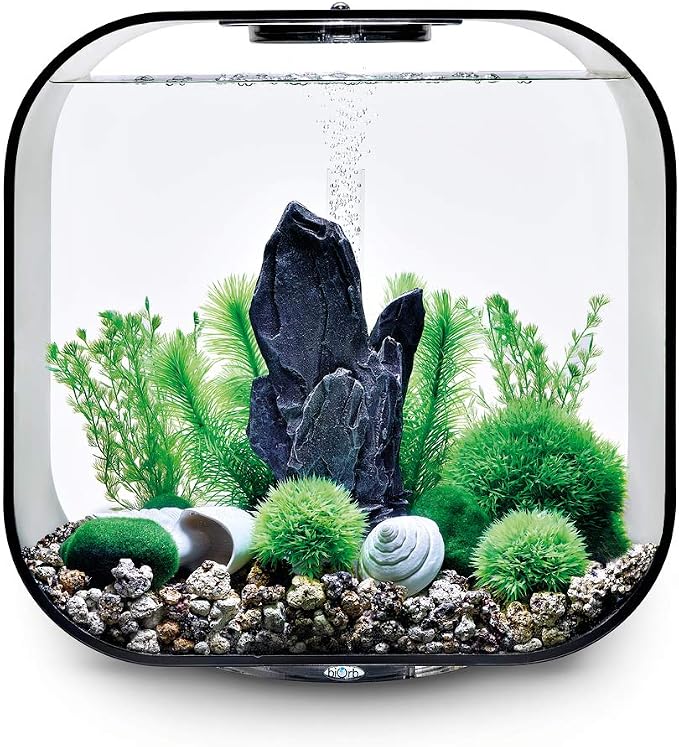 biOrb Decor Set – 30L Stone Garden, Medium