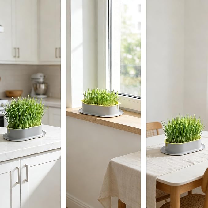 Cat Grass Planter - 3pcs Hydroponic Cat Grass Growing Kit with Germination Tray - Cat Plant Planting Box Nursery Cat Plant for Pet