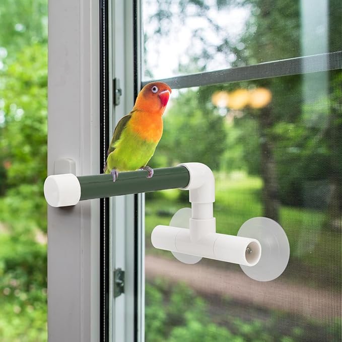 Hypeety Bird Parrot Stand Perch Shower Perch Standing Toy Portable Suction Cup Parrot Bath Stands Suppllies Holder Platform Parakeet Window Wall Hanging Play (2 Suction Cups Green)
