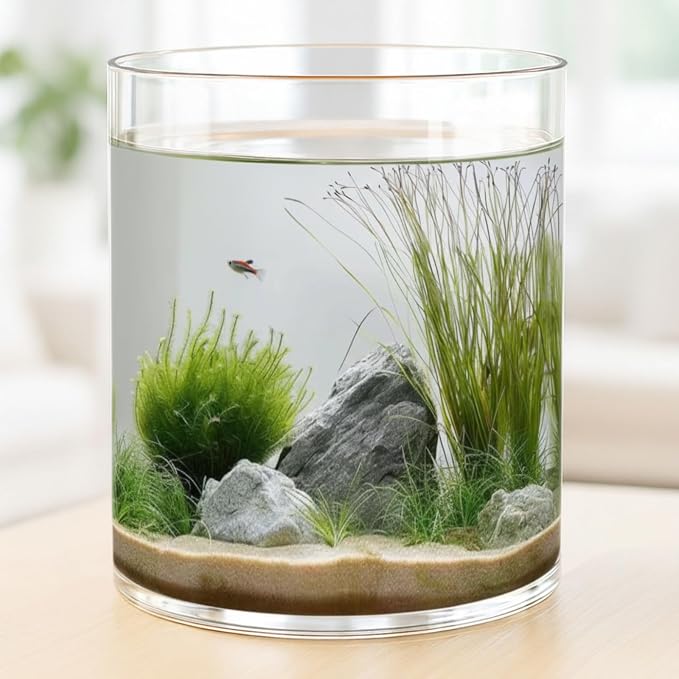 2.5 Gallon Cylindrical Glass Fish Tank Solid Base, 360° Full View Desktop Aquarium Starter, Easy to Maintain Small Microfauna for Betta Snails Shrimp Aquatic Planting and Small Plant Terrarium
