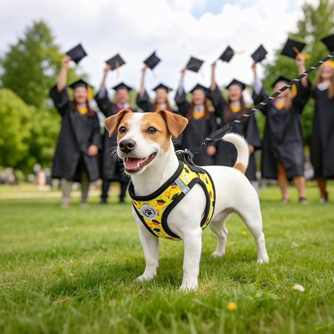 BEAUTYZOO Graduation Dog Harness for Small Medium Dogs - Soft Padded Step-in Reflective Puppy Vest with Leash Set, Adjustable No Pull Dog Harnesses, Grad Party Photo Props Gift for Boy & Girl Pets