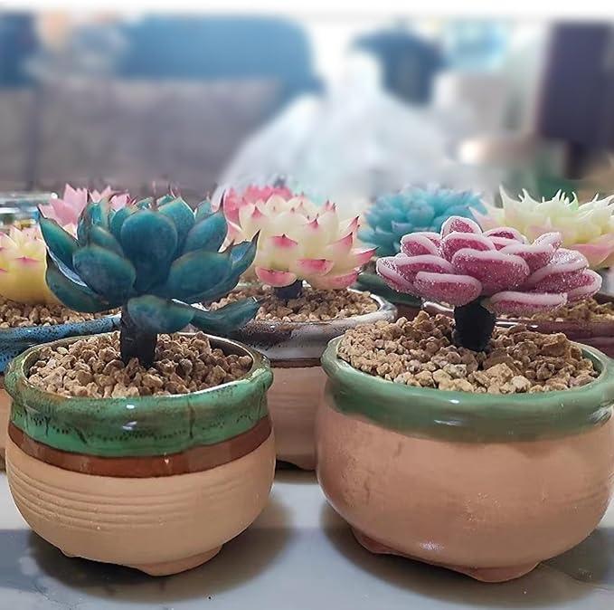 FANTIAN 5 lbs Maifanitum Stones for Succulent, 1/4 Inch Rocks for Plants | Pebbles for Indoor Plants, Horticultural Gravel, Succulent Cactus Soil Potting Mix, Promote Soil Root Growth, Drainage
