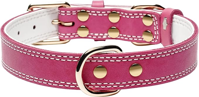 Dog Collar,Genuine Leather Heavy Duty Dog Collar for Small, Medium,Large and Extra Large Dogs (M: 1" Wide for 15.2"-19.2" Neck,Dual Stitch - Pink)