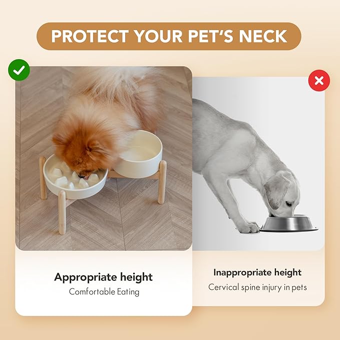 Havniva Ceramic 1.2 Cup Raised Slow Feeder Dog Bowl Set, Elevated 6.1inch Bowl and 7.3inch Slow Pet Food Dish with Wooden Stand for Small and Medium Dog (2 xLight Yellow+ Stand)