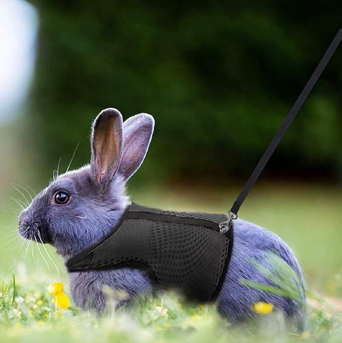 PETTOM Bunny Rabbit Harness with Stretchy Leash Cute Adjustable Buckle Breathable Mesh Vest for Kitten Small Pets Walking (Black,L)