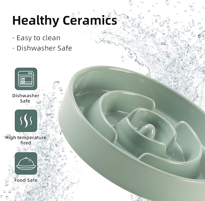 Havniva Ceramic Raised Slow Feeder Dog Bowl Set, Elevated 7.3inch Bowl and 8.2inch Puzzle Slow Dish with Wooden Stand for Medium and Large Dog, Anti-Gulping (2X Light Green+ Stand)