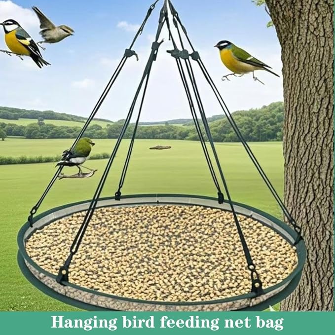 Bird Seed Catcher Tray for Hanging Bird Feeder, Large Outdoor Platform Tray with Adjustable Hanging Hoop, Deep Birdseed Holder for Hummingbird and Bee Feeders in Garden, Lawn, Backyard (S)