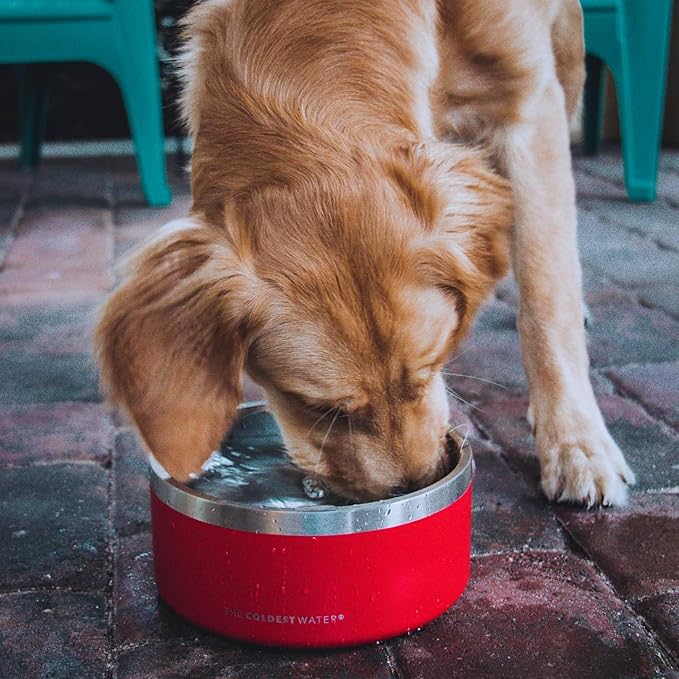 Coldest Dog Bowl - Anti Rust Metal, Non Slip, 3 Layers Insulated Stainless Steel Dog Bowls - Spill Proof & Heavy Duty - Water Bowl for Dogs, Cats & Pets, Dish Washer Safe (100 oz, Into The Beyond)