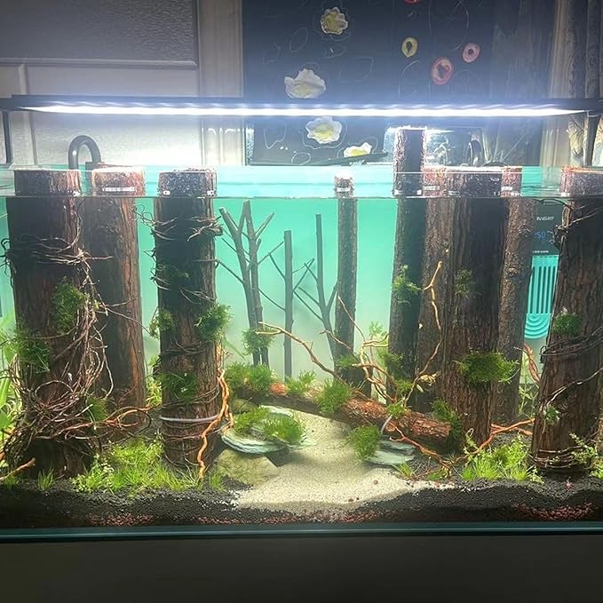 YZHZOM 160g Aquarium Driftwood Roots - Bushy Tank Wood for aquascaping -Perfect for Fry, Shrimp or Terrarium,Natural Wood Roots for Aquarium aquascaping