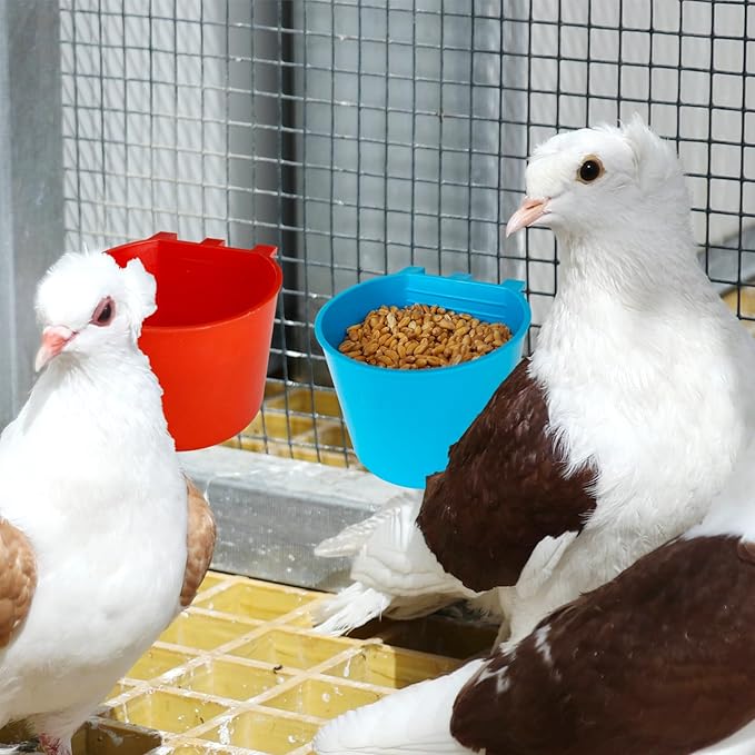 30 Pcs Cage Cups Birds Feeders Bowl Chicken Feeding Watering Dish Hanging Wire Cages Box Coop Cups for Pet Parrot Parakeet Gamefowl Poultry Pigeon and Quail(Blue and Red)
