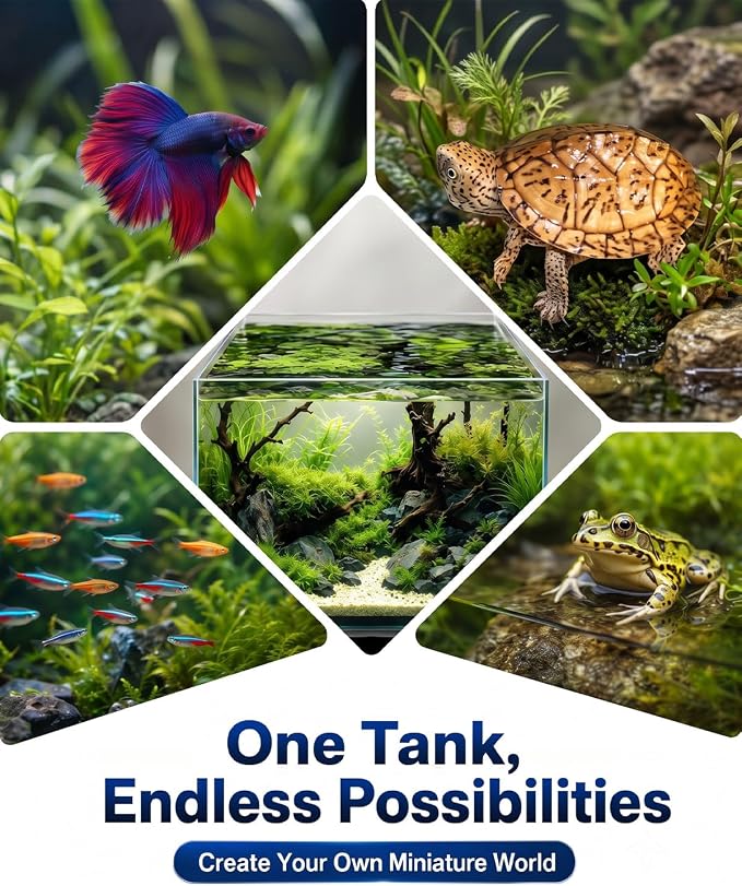 5 Gallon Vertical Rimless Fish Tank, Ultra-Clear Glass Aquarium | Leak-Proof Fish Bowl for Betta Fish, Shrimp, Snails & Planted Aquariums, Easy Setup and Maintenance, Clear