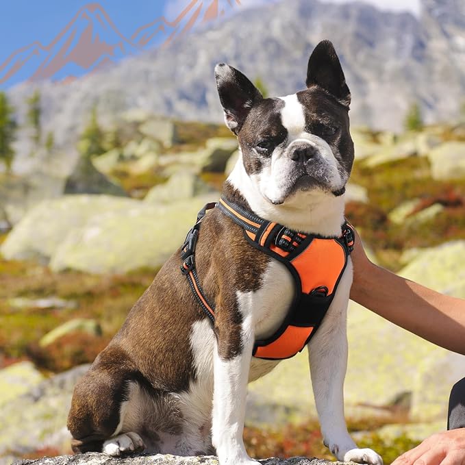 Eagloo Dog Harness Medium Sized Dog, No Pull Service Vest with Reflective Strips and Control Handle, Adjustable and Comfortable for Walking, No Choke Pet Harness with 2 Metal Rings, Orange, M