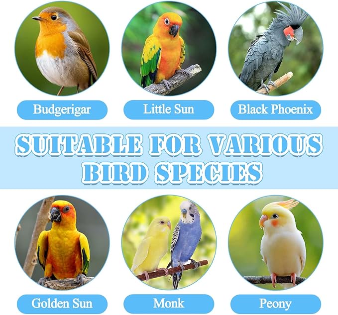 Bird Leash with 4 Different Size Foot Ring, Parrot Flying Rope Elastic Bird Harness Flying Leash Outdoor Training Traction Rope for Conure Cockatiel Parakeet Macaw Budgerigar